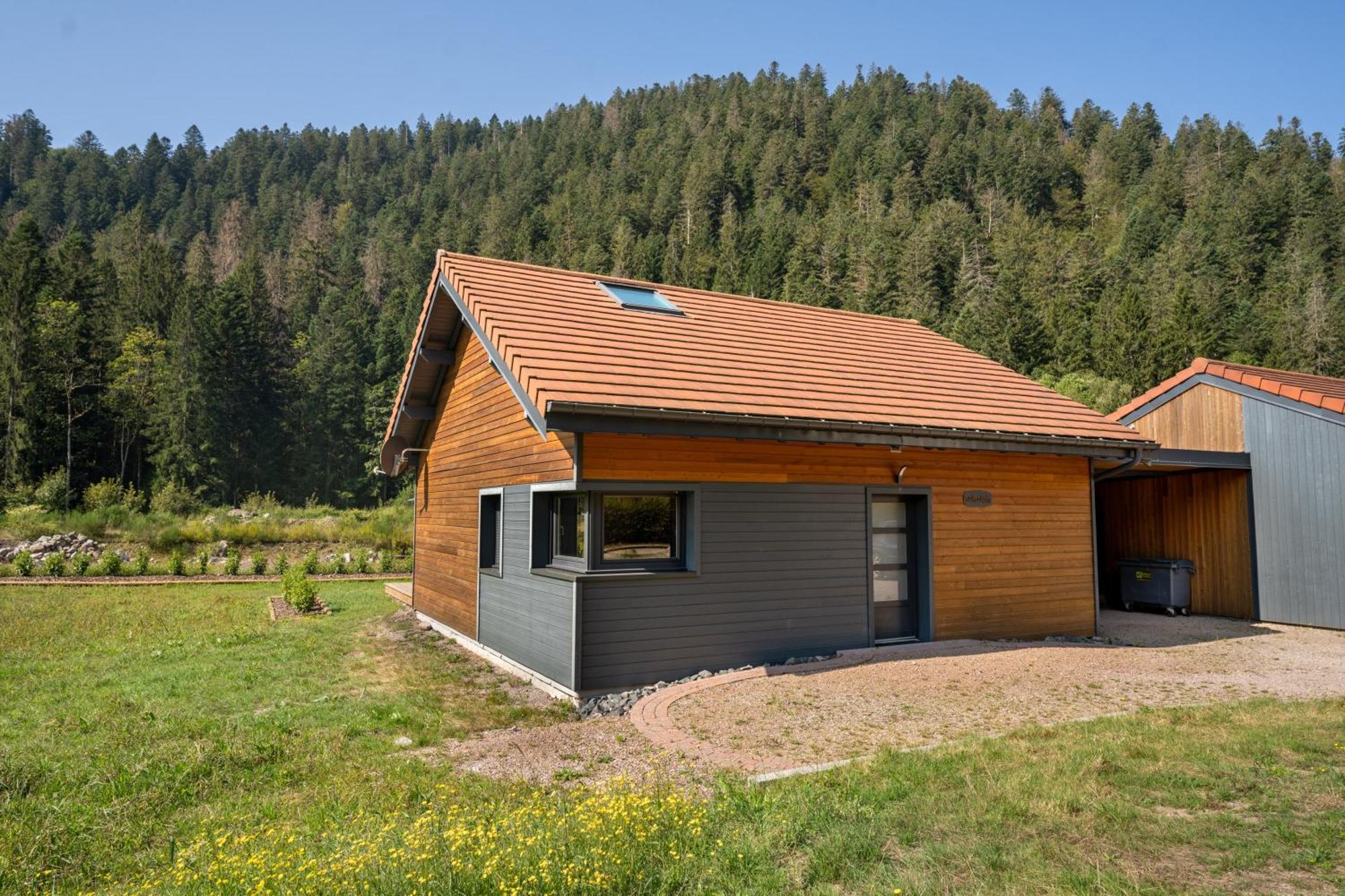 Chalet Nemesia Avec Spa A Gerardmer Luaran gambar
